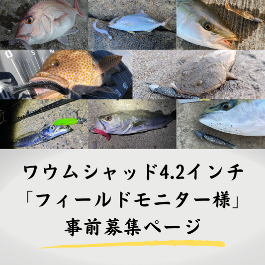 ワウムシャッド4.2「フィールドモニター」事前募集ページ