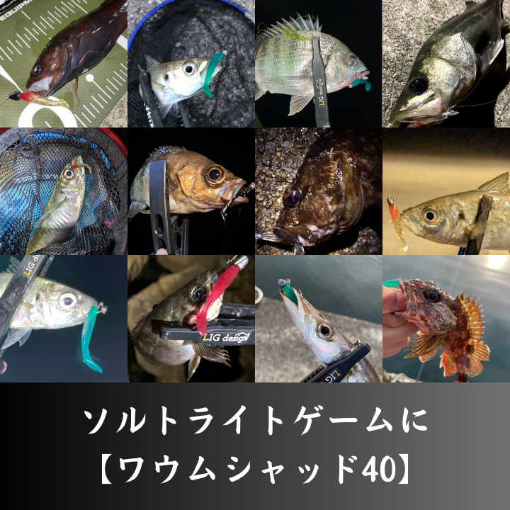 ワウム「ワウムシャッド40」