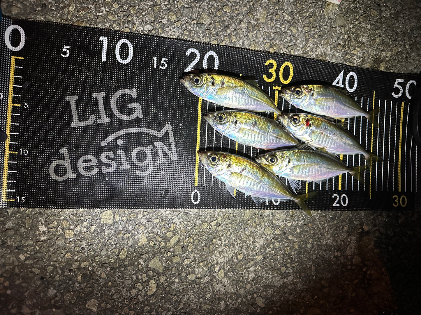 リグデザイン「メジャー」