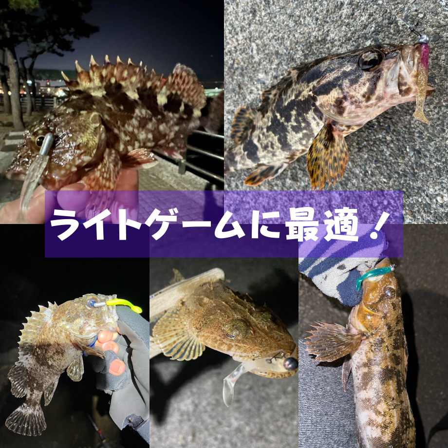 ワウム「ワウムシャッド40」