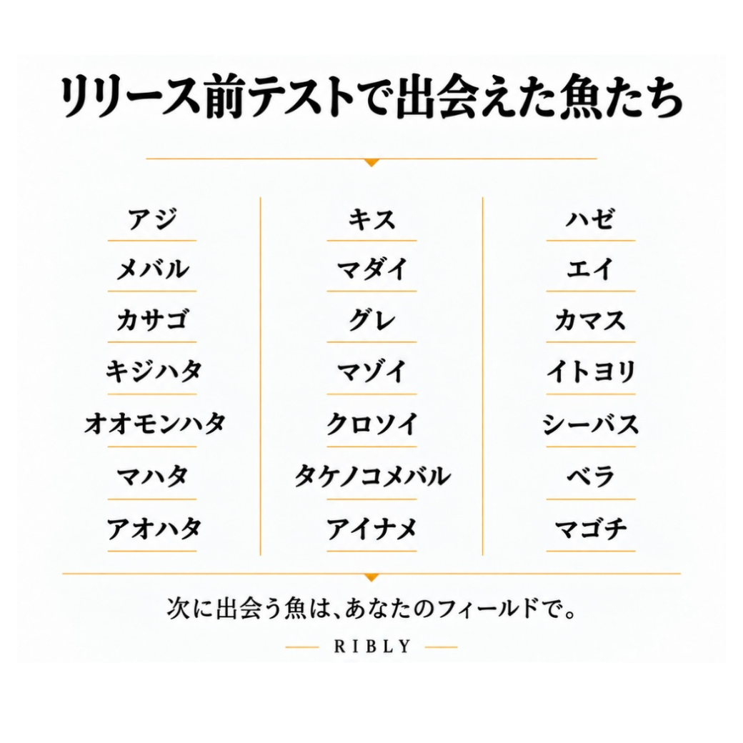 リグデザイン【リブリー】