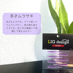 リグデザイン「サンキー」