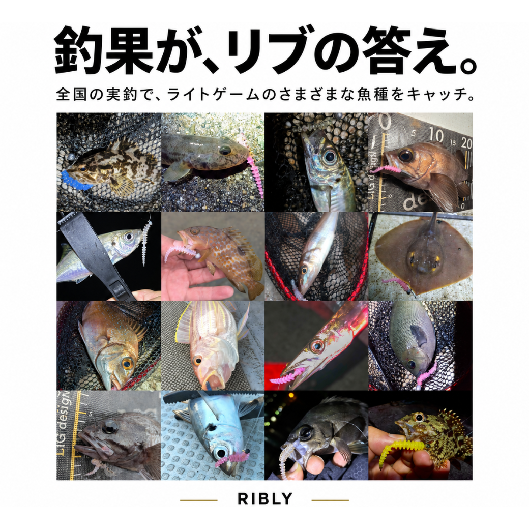 リグデザイン【リブリー】