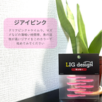 リグデザイン「サンキー」