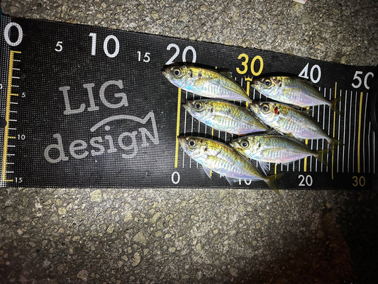 リグデザイン「メジャー」