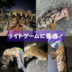 ワウム「ワウムシャッド40」